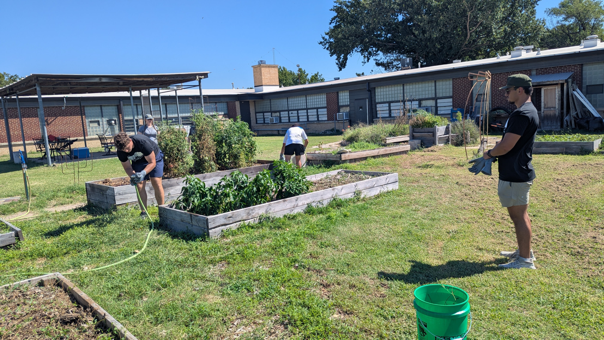 Community Gardening